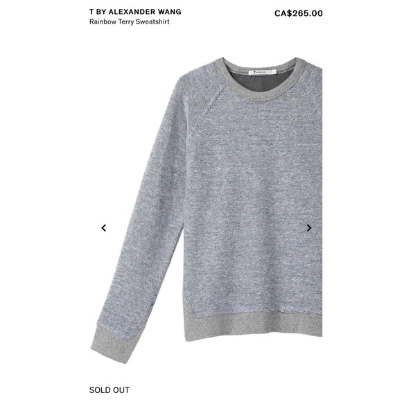 T BY ALEXANDER WANG Rainbow Terry Sweatshirt - Picture 9 of 11